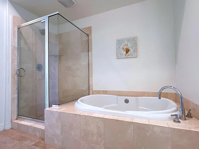 Master bathroom tub and shower