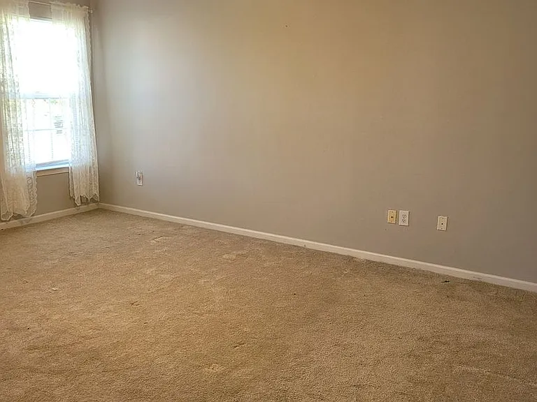 406 Nicked Pin Pl — Photo 13
