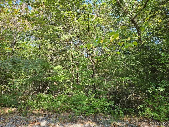9488 Bent Tree Dr, Hillsboro, MO 63050