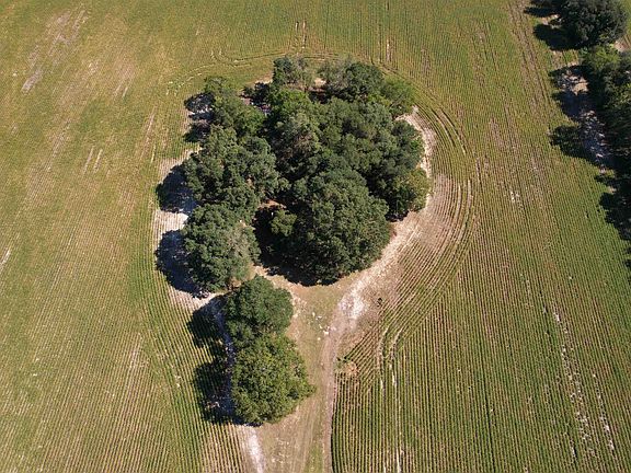 5th image of Lot 2 - Sumter Hwy.