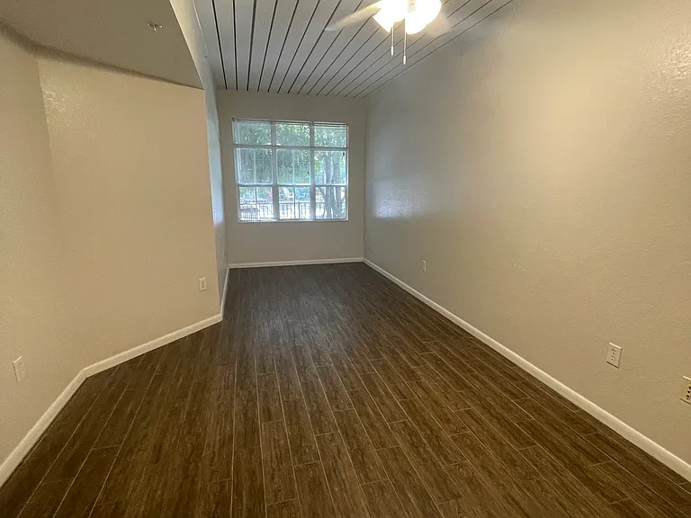 2411 W Horatio St #515 — Photo 6