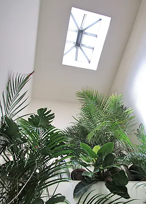 Rented by Bold New York | media 24