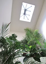 Rented by Bold New York