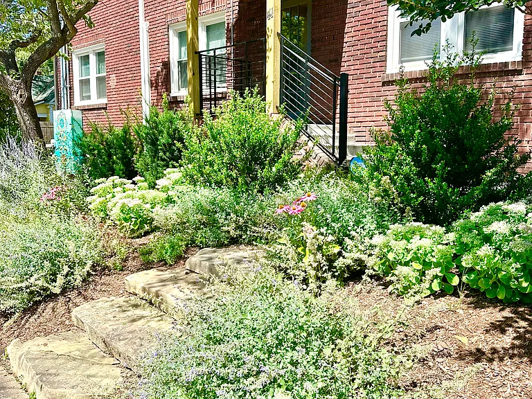 41 Furman Ave #5 — Photo 23