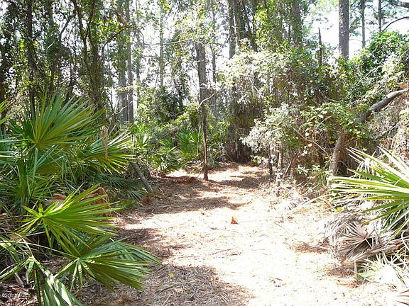 5th image of 8969 Lake Kathryn Dr
