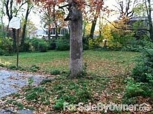 Fenced backyard : Plenty of trees. Concrete patio with basketball goal.