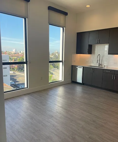 Dining and Living Room Area