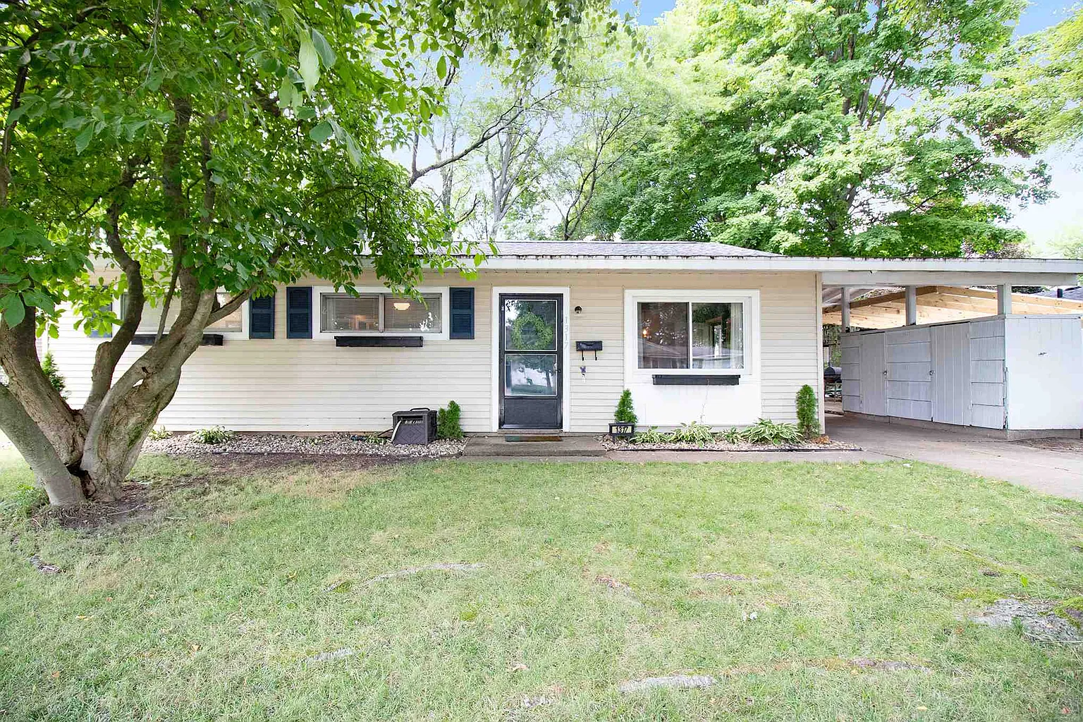 1317 Alpine Dr photo 1