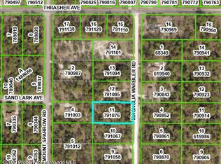 16161 Magnolia Warbler Rd, Brooksville, FL 34614