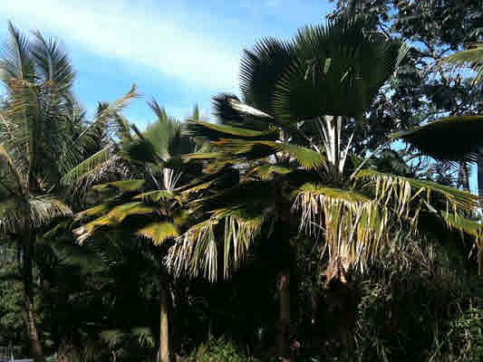 2nd image of Government Beach Rd Lot 68