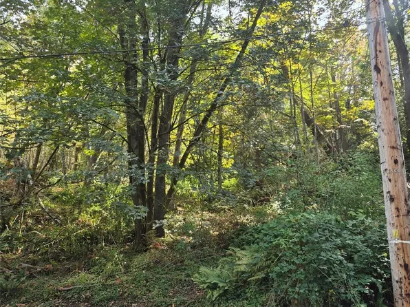 41 Brays Way, Bellingham, WA 98226