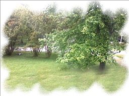 2nd image of 2002 Laura Dr