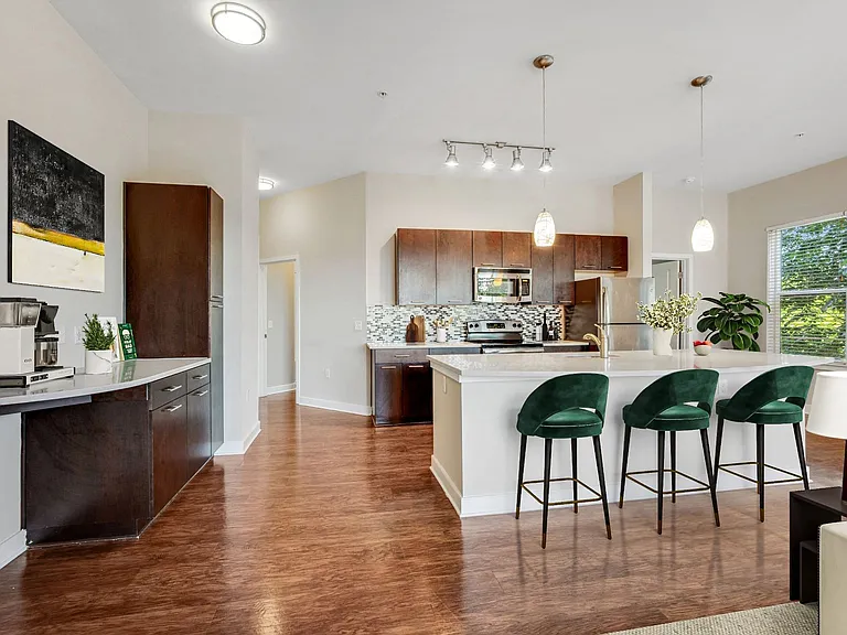 Cook and entertain effortlessly in a chef-inspired kitchen featuring quartz countertops and premium stainless steel appliances.