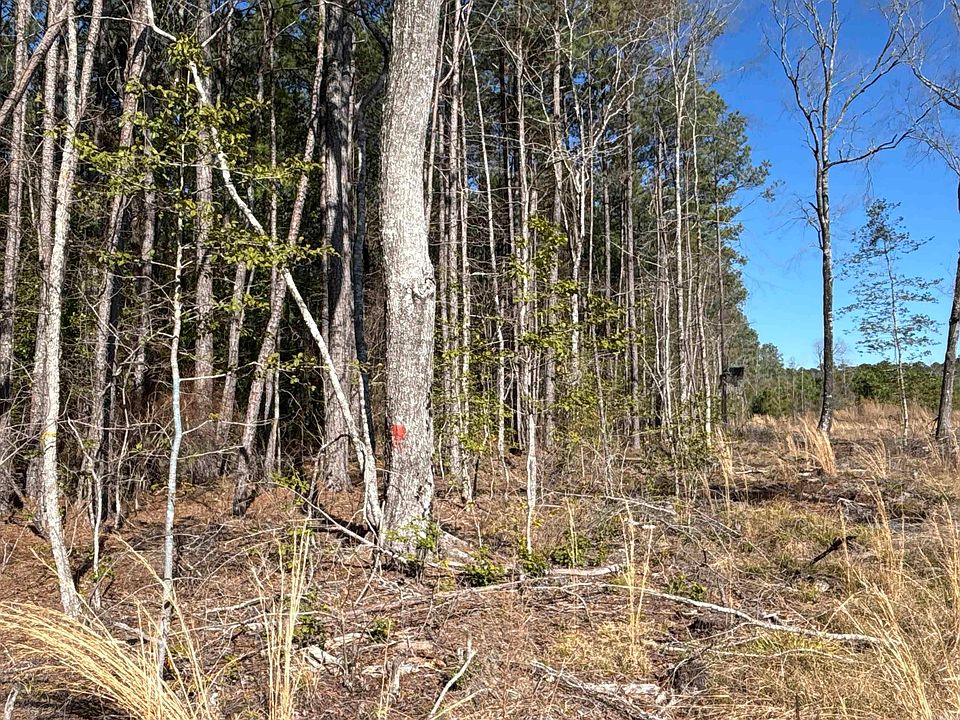 2nd image of 1 W Dallas County Line #20