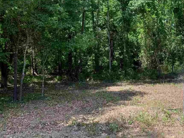 County Road 4425, Pittsburg, TX 75686