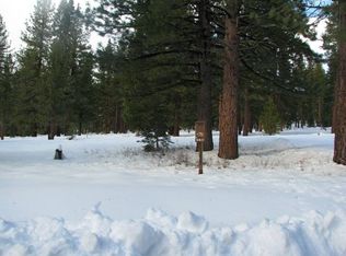 W 78 Bottcher Loop, Truckee, CA 96161