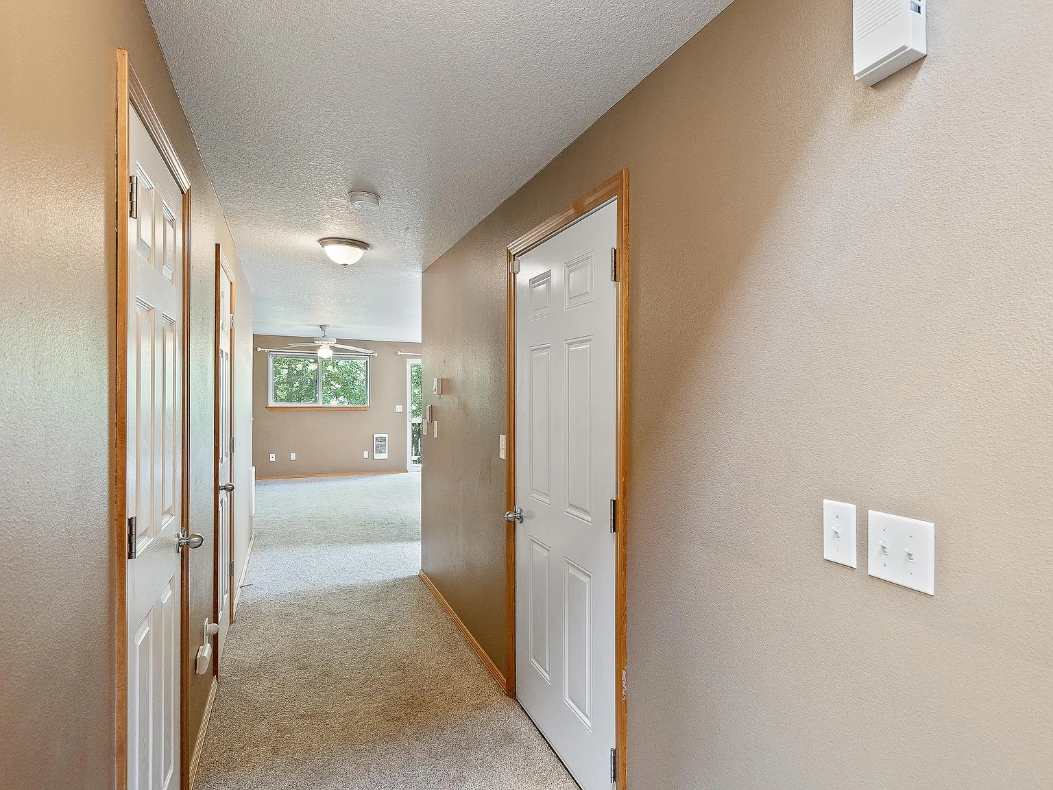 446 Corinne Dr — Photo 3