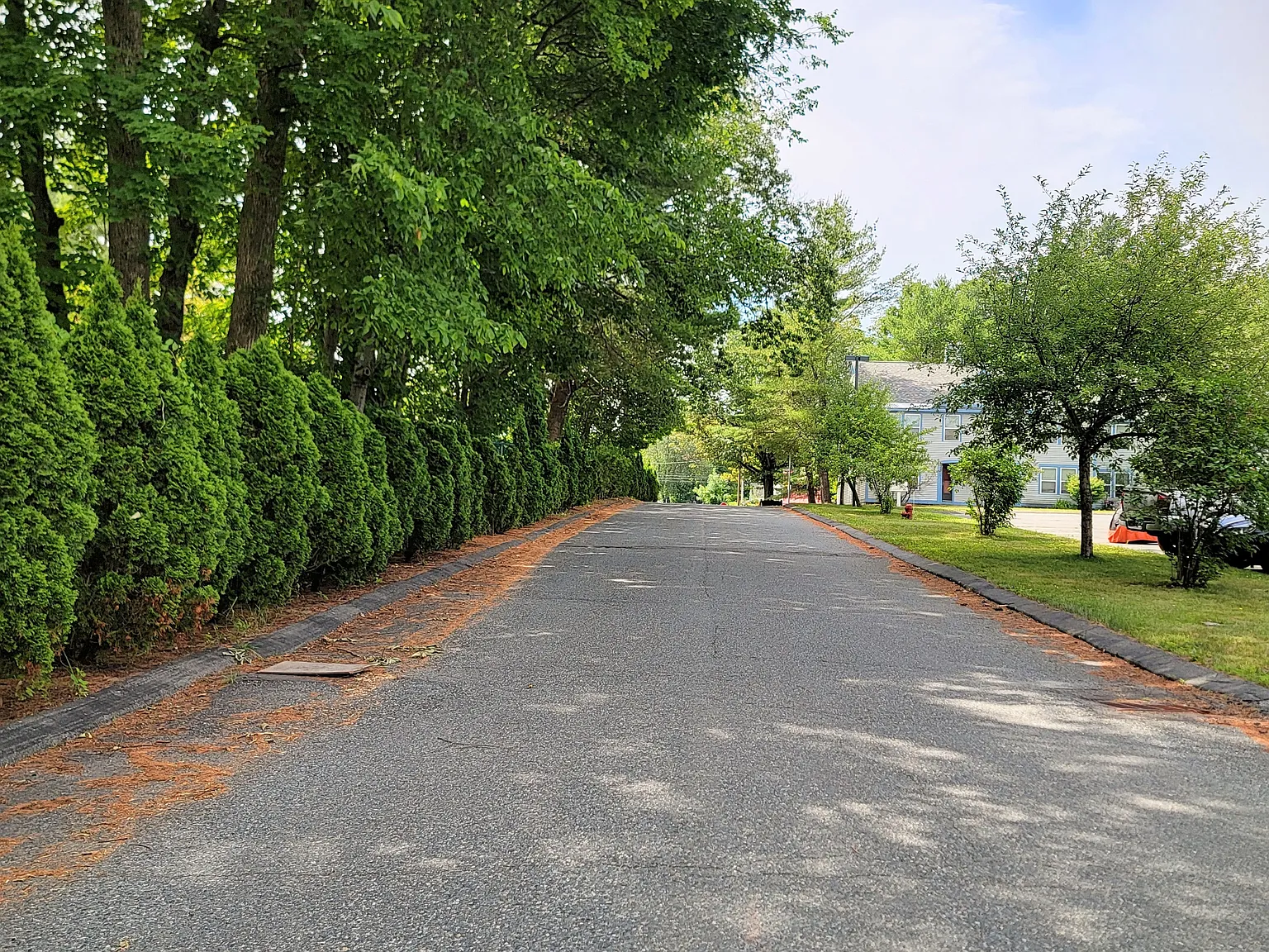 2 bed, 1000 sqft, $1,800 — Photo 3