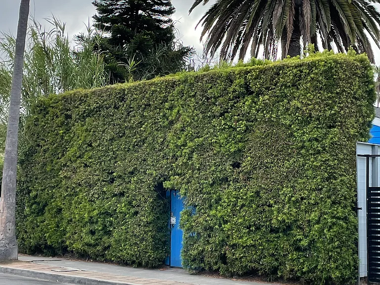 926 California Ave — Photo 12