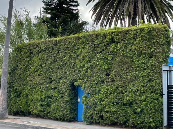 926 California Ave, Venice, CA 90291