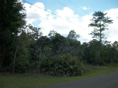 3546 W Warbler St, Lecanto, FL, 34461