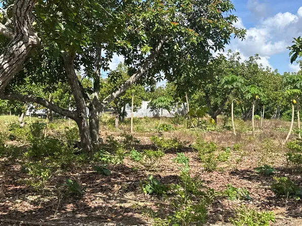 26100 SW 209th Ave, Homestead, FL 33031