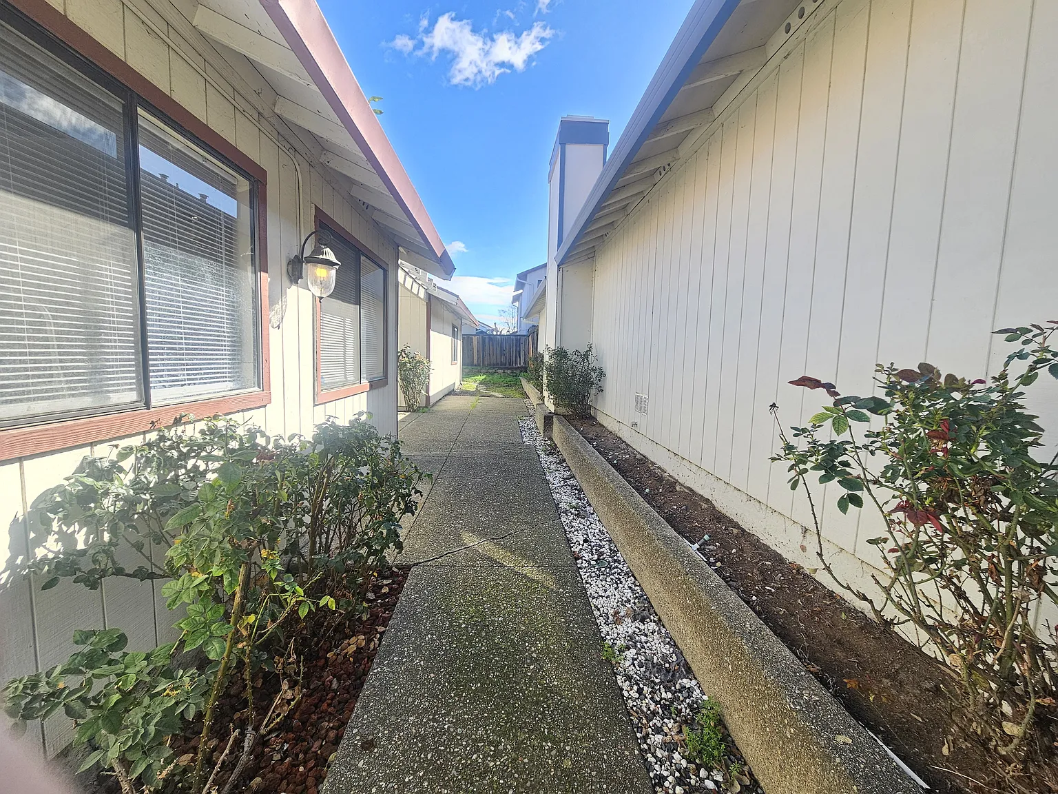 2203 Greenfield Dr — Photo 3