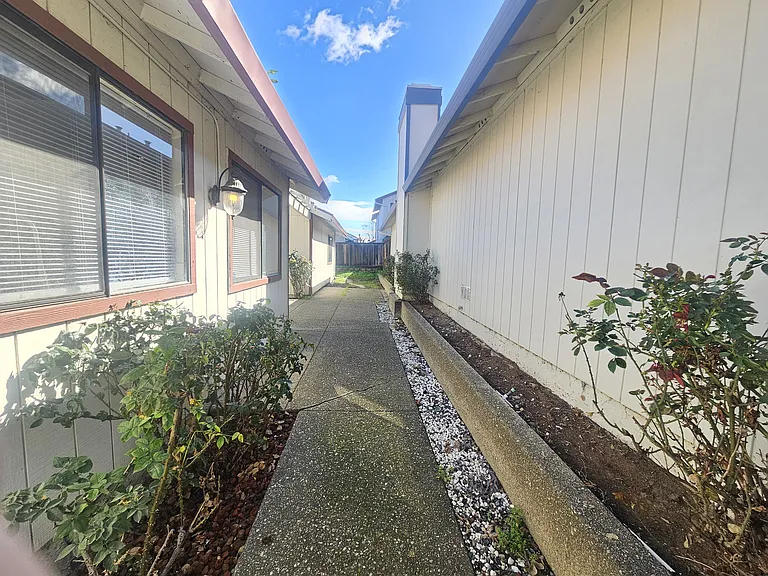 2203 Greenfield Dr — Photo 3