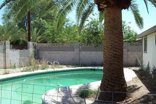 1146 E Campus Dr — Photo 3