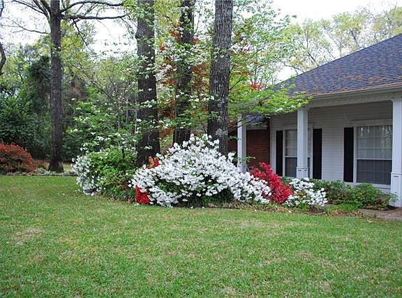 4th image of 571 County Road 2610