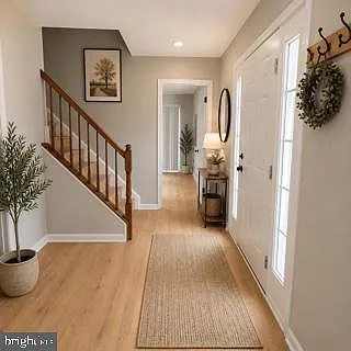 100 Sand Dollar Cv — Photo 2