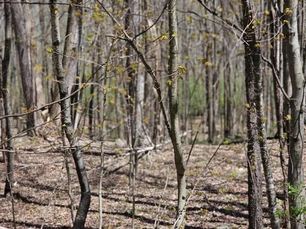 4 Laurel Hill Dr, Moscow, PA 18444