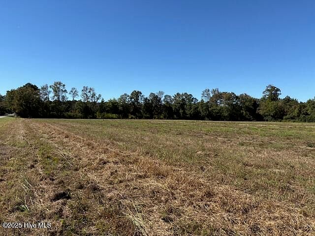 2nd image of 1 Vidalia Nck #102-E