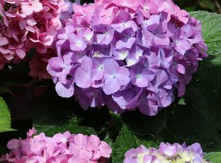 4901 Richardson Rd, Howell, MI 48843