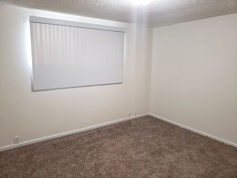 1555 Olive Ave — Photo 9