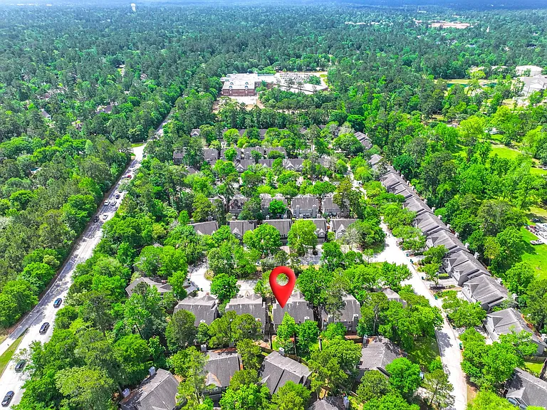 30 Butterfly Branch Pl — Photo 6