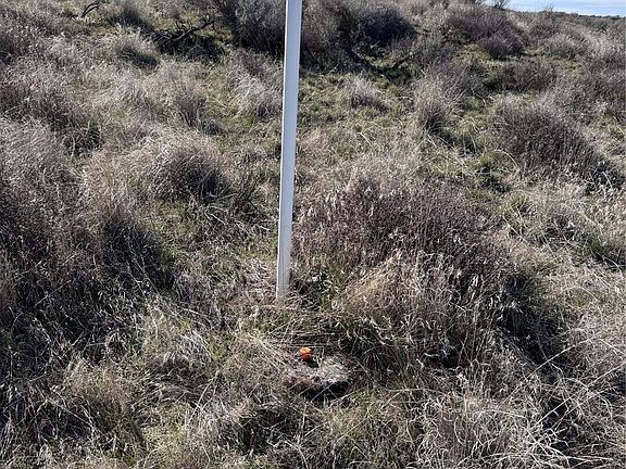 5th image of 154 Eagle Springs Ranch