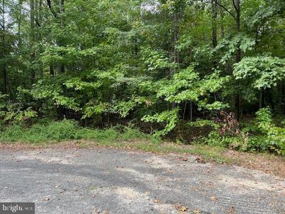 Lots 48 & 49 General Lee Ct, Montross, VA, 22520