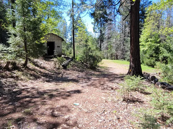 21492 Cove Rd, Montgomery Creek, CA 96065
