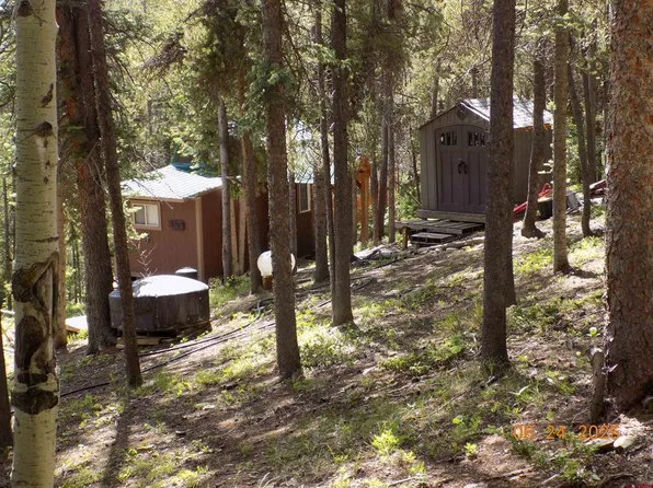 823 Grasshopper Road, Pitkin, CO 81241