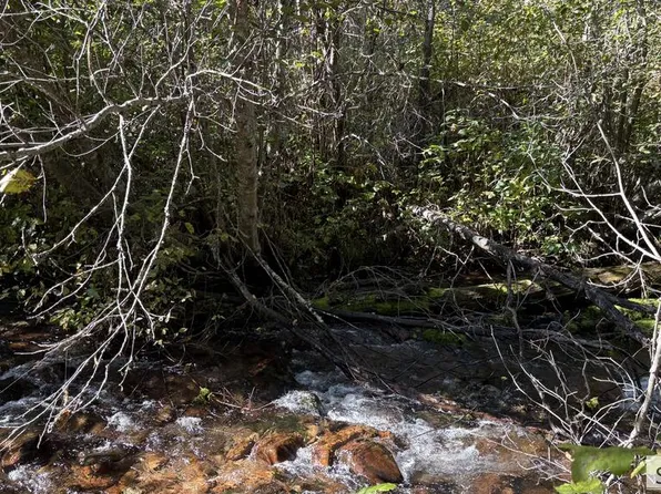 LOT 32 Sheep Creek Loop, North Fork, ID 83466