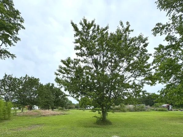 765 Sills Creek Road, Willard, NC 28478