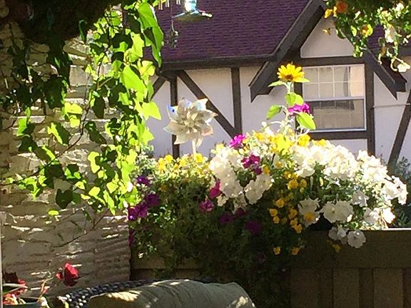 Deck: Outdoor Living 