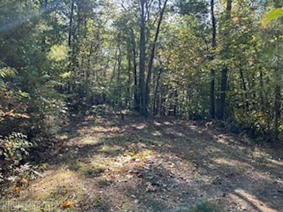 4th image of Bobcat Ln