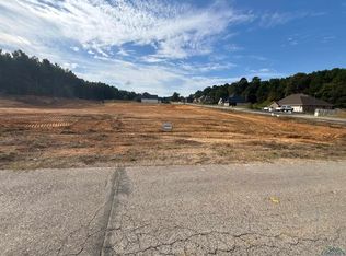 LOT 28 Emma Dr, Diana, TX 75640