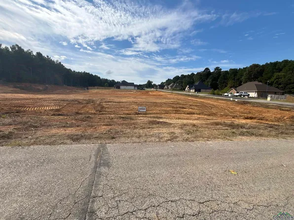 LOT 28 Emma Dr, Diana, TX 75640