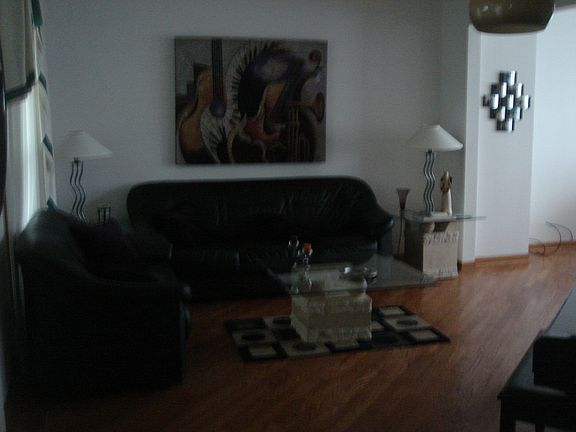 Hardwood in Living room
