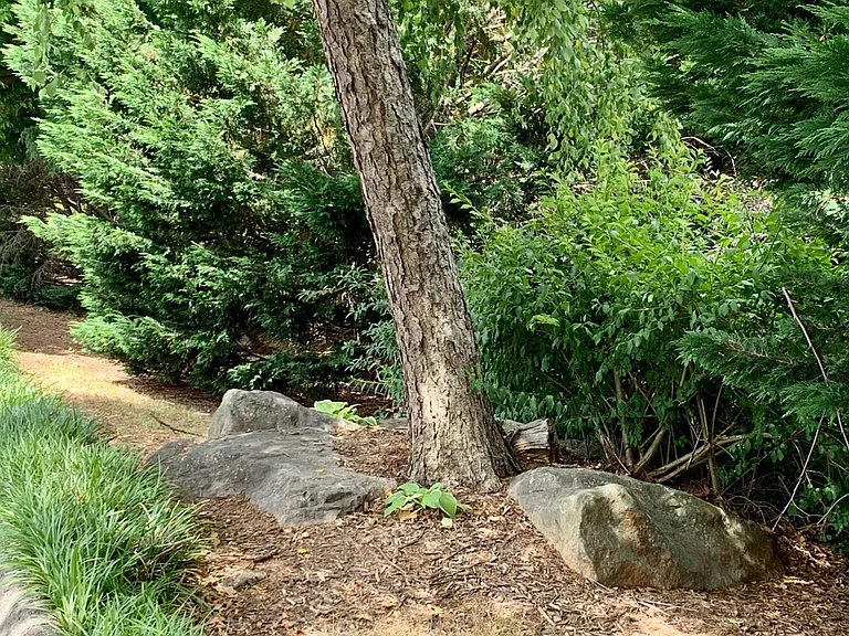 Green space outside rental unit.