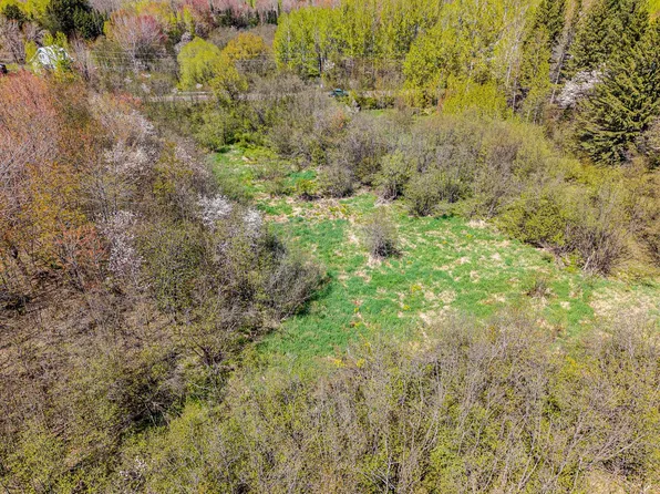 Scovia Ave, Ontonagon, MI 49953