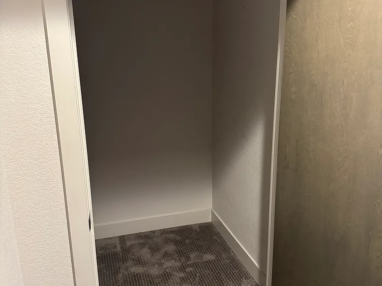 Lower Level Extra Storage Closet
